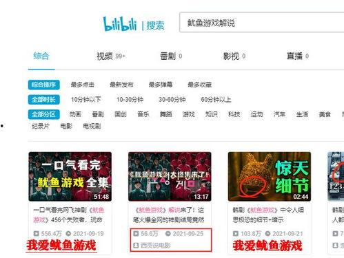 石榴视频网站app下载 